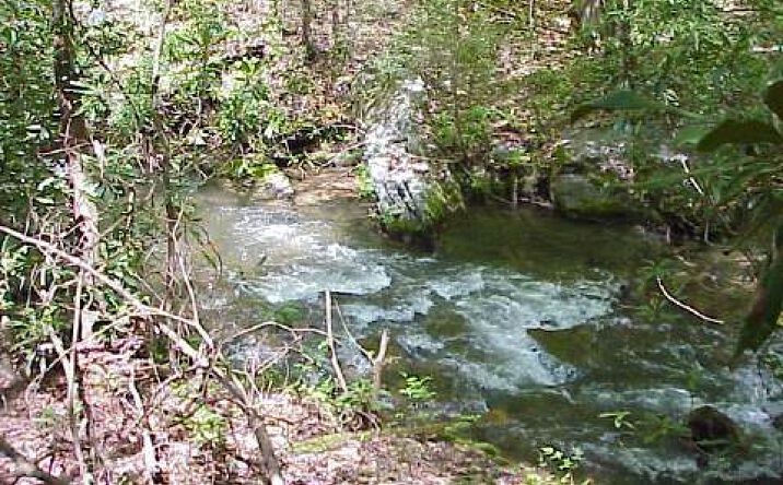 LOT 3 Tusquittee Road, Hayesville