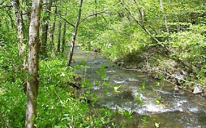 LOT Tusquittee Road, Hayesville
