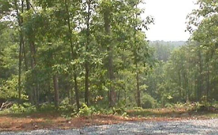 Dillons Ridge Road, Morganton