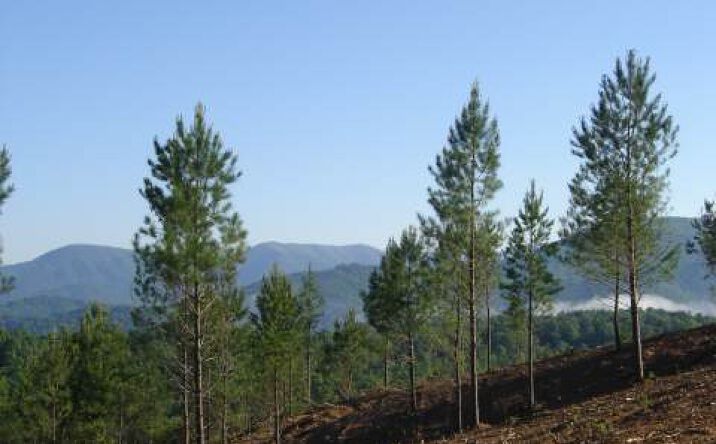 LOT 3 River Hill Road, Murphy