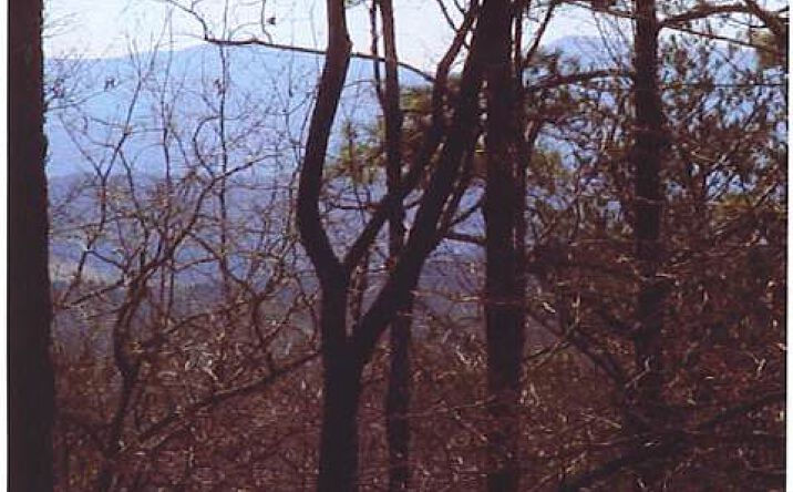 259 Bootlegger Drive, Morganton