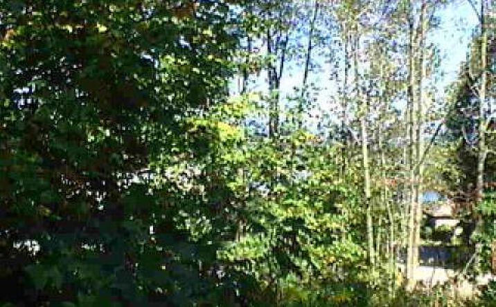 G-26 Lake Forest Estates, Hiawassee