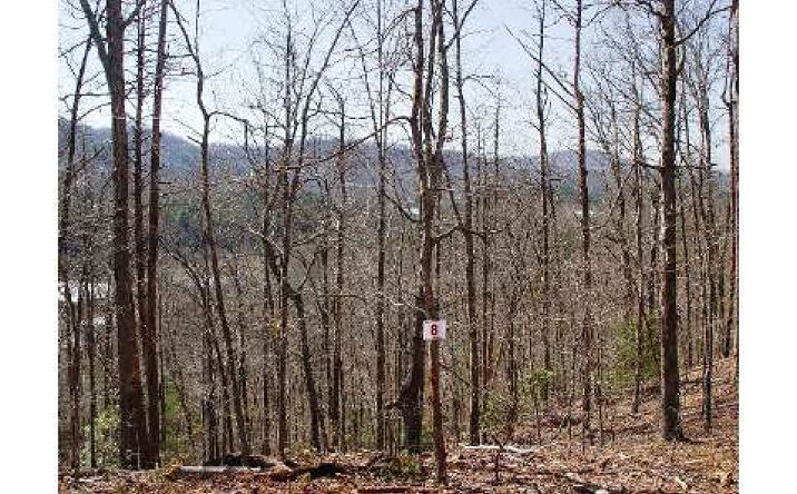 Skyview Acres Drive, Murphy