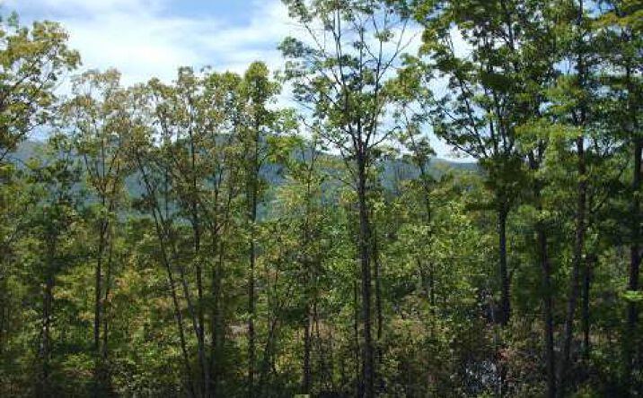 LT 2 Hightower Ridge Road, Hiawassee