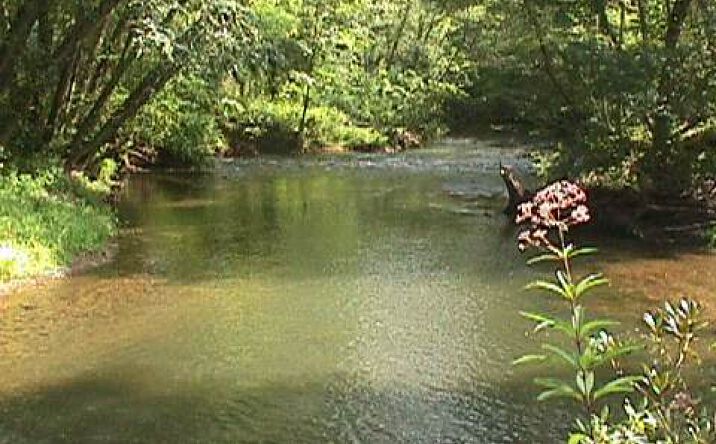 LOT 6 Kelly Lane, Hiawassee