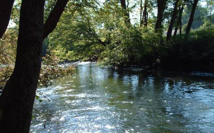 LOT 1 Myers Chapel Road, Hayesville