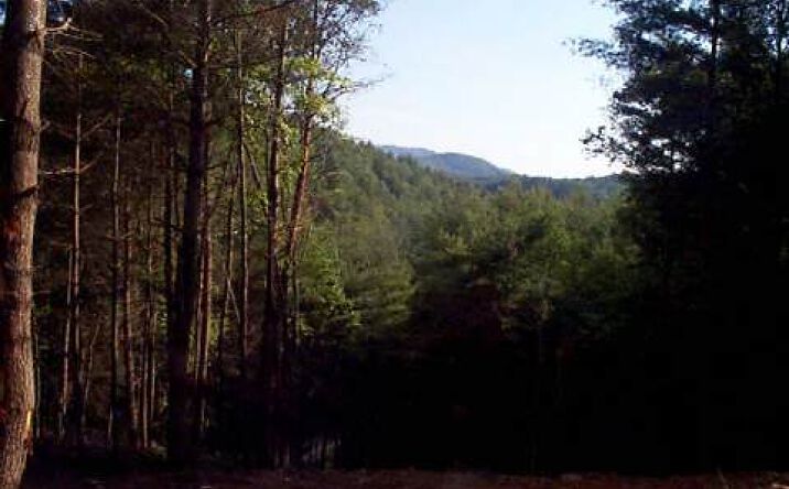 #8 Fires Creek Usfs Rd., Hayesville