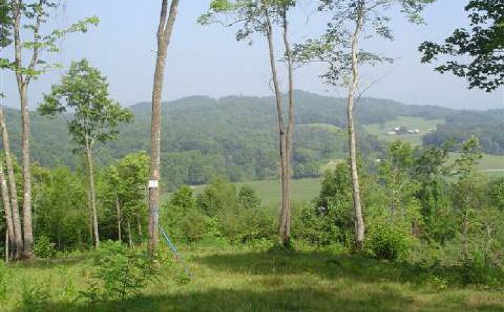 Weber Way, Brasstown