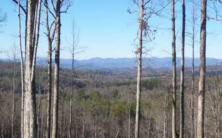 LT 27 Ridgeview Mountain, Young Harris