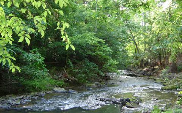LT33 Old Birch Bend Court, Blairsville