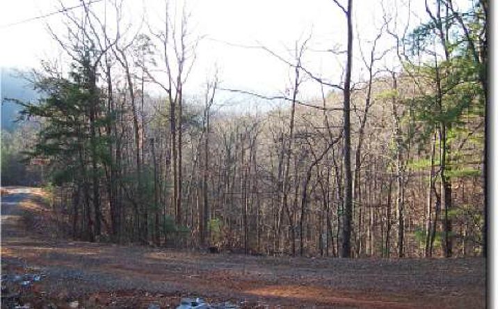 Scenic Vista Drive, Murphy