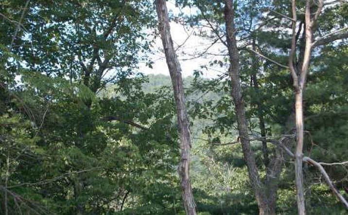 Lot 30 Big Creek, Ellijay