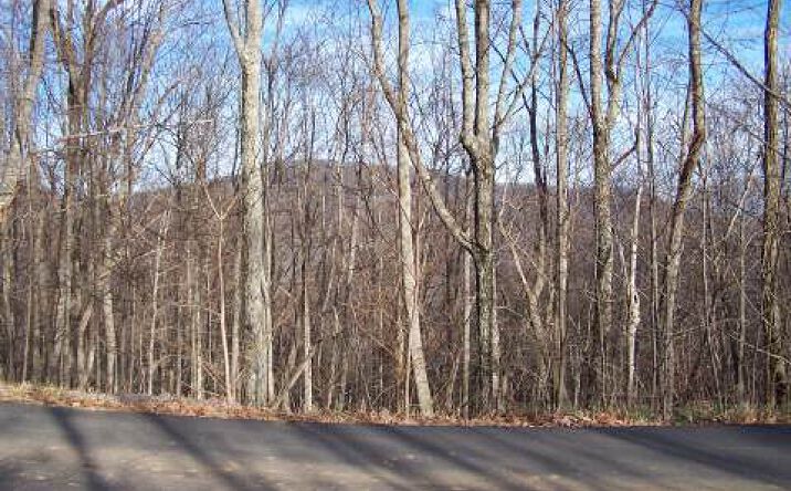 Outlook Road, Murphy