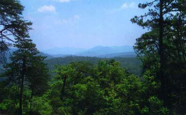 LT 11 Brown Haven Heights, Hiawassee