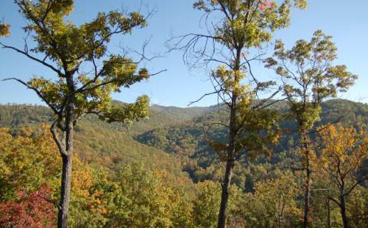LT130 Shiloh, Hayesville