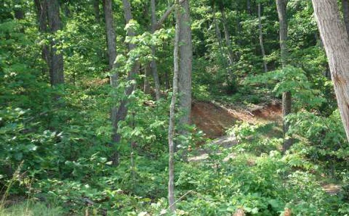 LT 1 Toccoa Farms Heights, Morganton