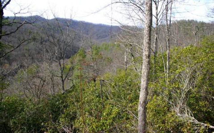 490 Shearer Ridge, Hayesville
