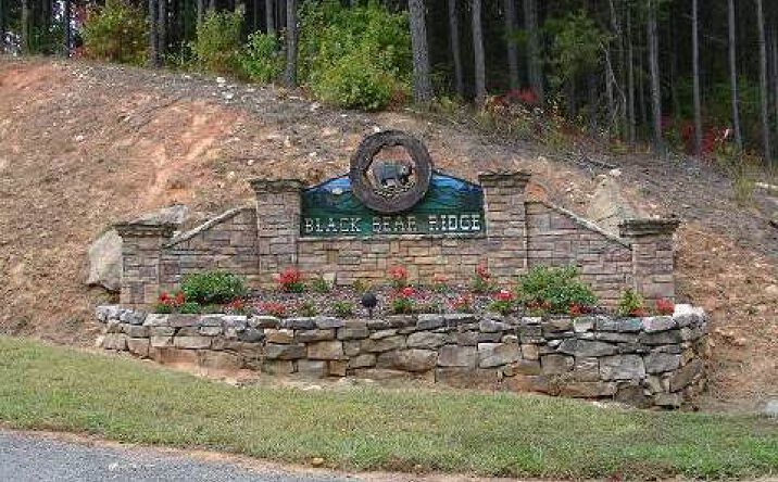 23LTS Black Bear S/D, Ellijay