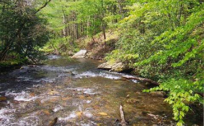 Fires Creek Wildlife Road, Hayesville