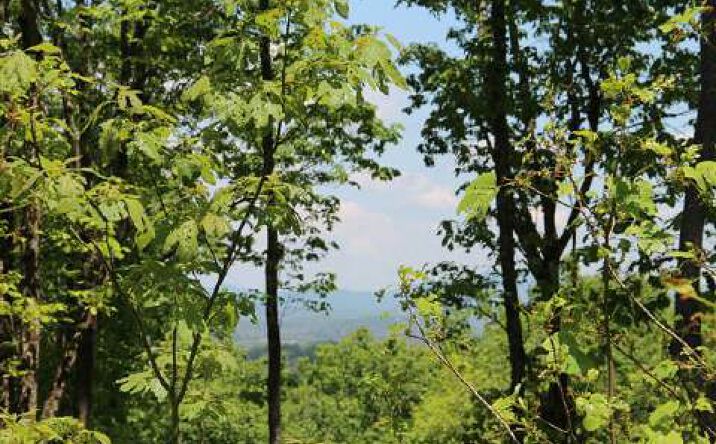 Scenic Heights 17/18, Blue Ridge