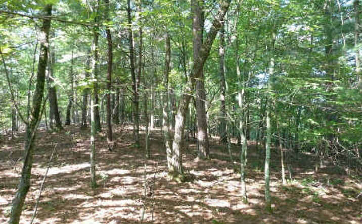 15 Acres Brasstown Road, Brasstown