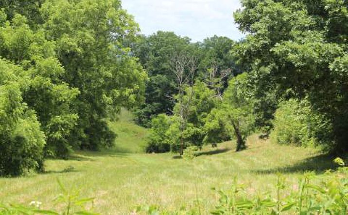 41 Bell Meadows, Hiawassee