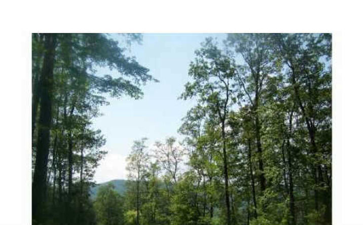 LT 26 Raccoon Ridge, Blue Ridge