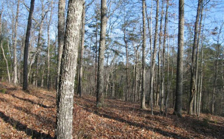 TRACT Copperhead Trail, Mineral Bluff