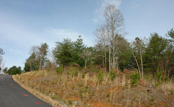 LT120 The Hills At Queens Gap, Blairsville