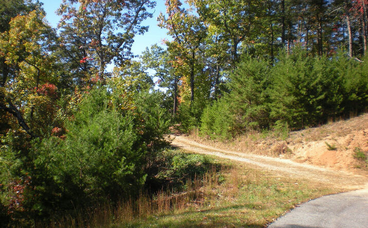 LOT 7 Robert Drive, Ellijay