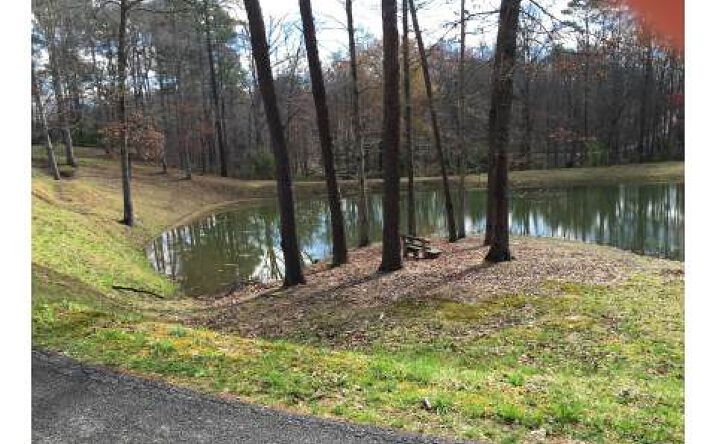 SUB White Oaks Pond, Blue Ridge