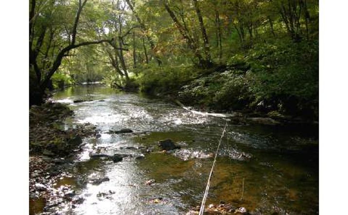 LOT 6 Brasstown Creek Road, Young Harris