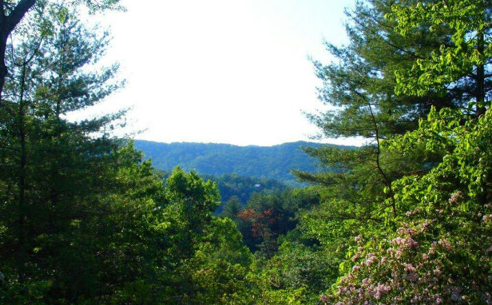 L 387 East Dream Catcher, Blue Ridge