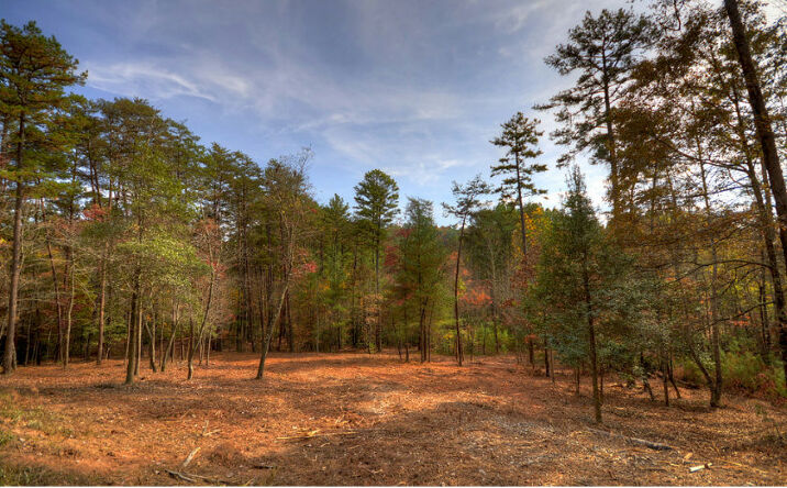 4.46A Hogback Road, Blue Ridge