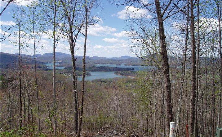 LOT43 Dan Knob, Hayesville