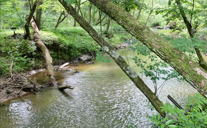 849 Old Mill Pond Road, Mineral Bluff