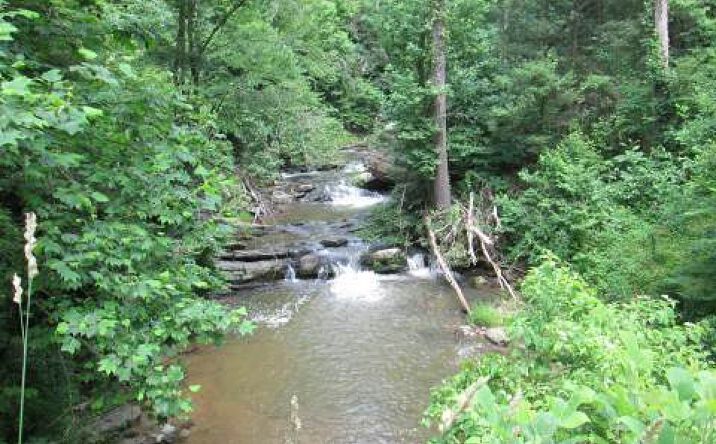 1625 Nexus Drive, Ellijay