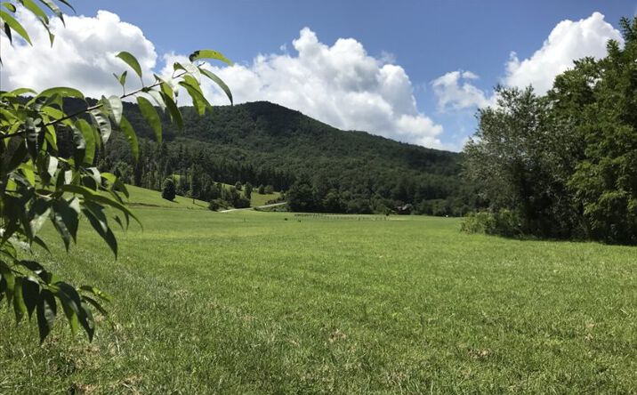 LT 22 Rivendell Drive, Hiawassee