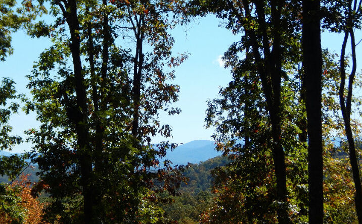 LOT 9 Stuart Mountain Road, Mineral Bluff