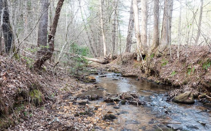 LOT2 Double Eagle Preserv, Ellijay