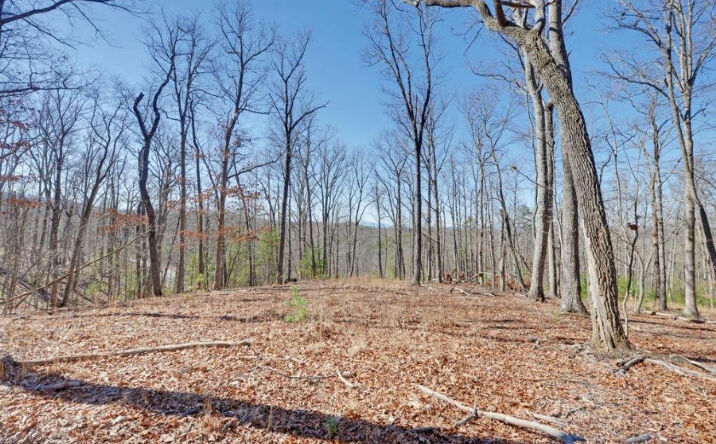 L 5 High Country Lane, Morganton