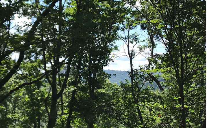 3.7AC Raintree Bend, Blue Ridge