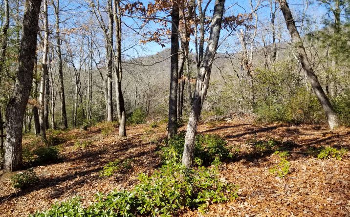 LT 1+ Hadley Lane, Hayesville