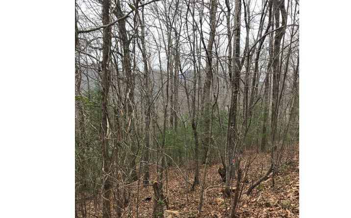 45&46 Beech Cove Vistas, Hiawassee