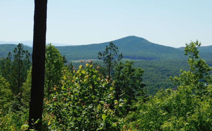 LT356 The Cove @ 1300, Blairsville
