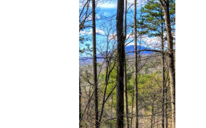 LOT 6 Off Aska- Blue Sky O, Blue Ridge
