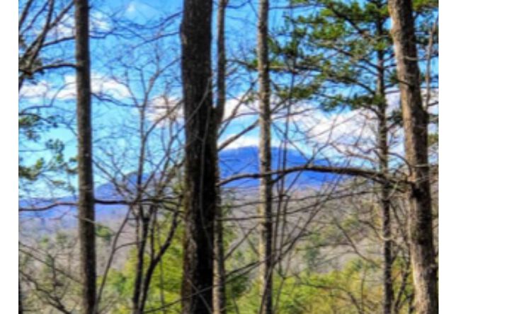 LOT 5 Blue Sky Overlook, Blue Ridge