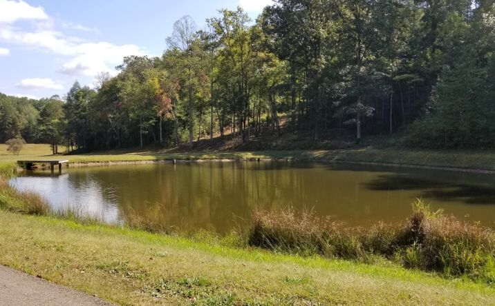 9 Nature Valley Trail, Murphy