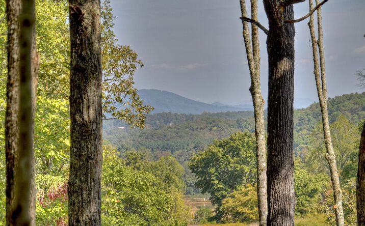 22 Meadowlark, Blue Ridge