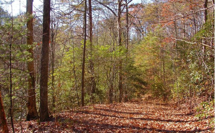 L 69 Mountain Tops Road, Blue Ridge
